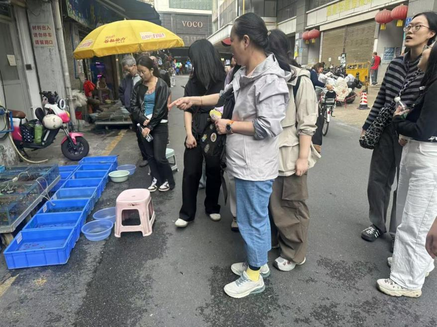 百家乐在线试玩